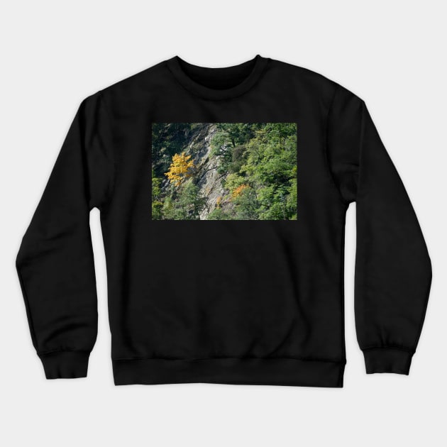 Bodetal, rock, cliff, cliff, Thale, Harz, Germany, autumn Crewneck Sweatshirt by Kruegerfoto